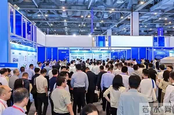 碾压传统疫苗！小鼠250天无瘤，成功率最高88%，癌症防线已攻破？