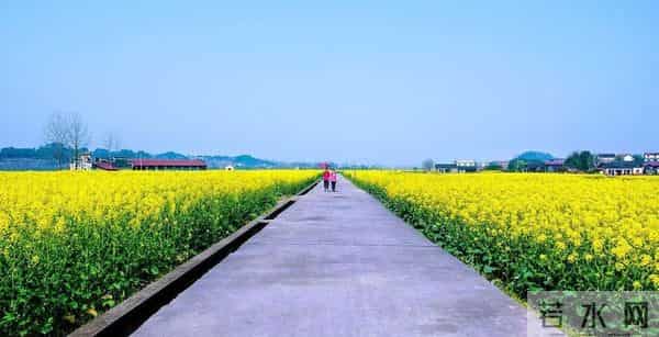 唐山大地震亲历记（729）我家的房子向前滑行了100多米