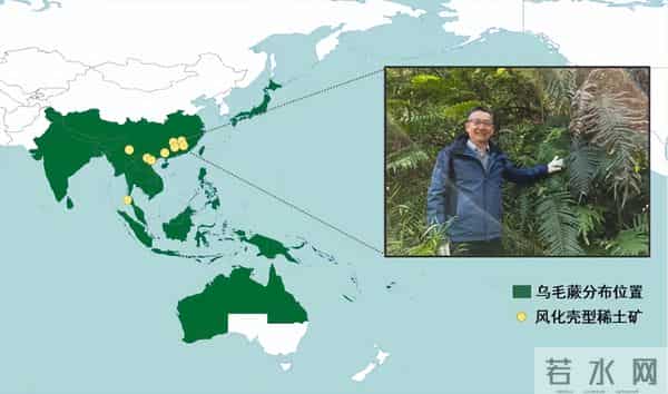 国运挡不住！我国科学家在植物中发现稀土成矿