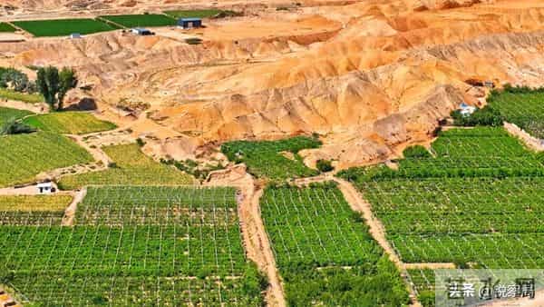 美国50年砸钱无果，中国14年搞定用钍发电，解锁戈壁能源密码