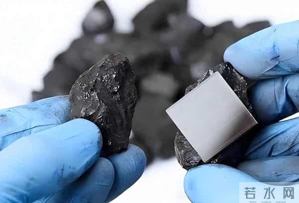 国运挡不住！我国科学家在植物中发现稀土成矿