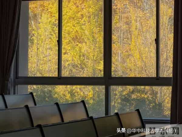 代表“芯片”最前沿！华科大最新成果，获国际“认可”！