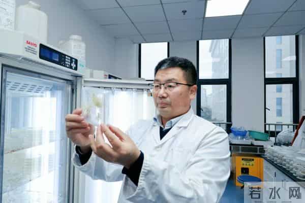 2025年荆楚科技工作者风采展示 - 王林海：十年深耕“小芝麻”架起中非合作大桥梁