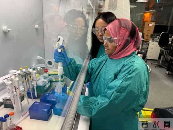 科学家发现金属纳米点能消灭癌细胞，也能最大程度保护健康组织