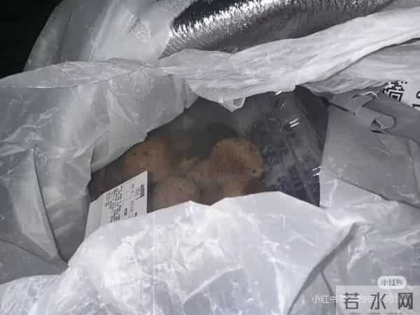 山姆麻薯盒内出现活鼠，当事人：打开那一刻，人都吓蒙了