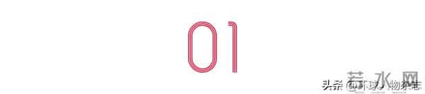 放弃200万年薪，32岁“天才少年”要兑现“极客的浪漫”