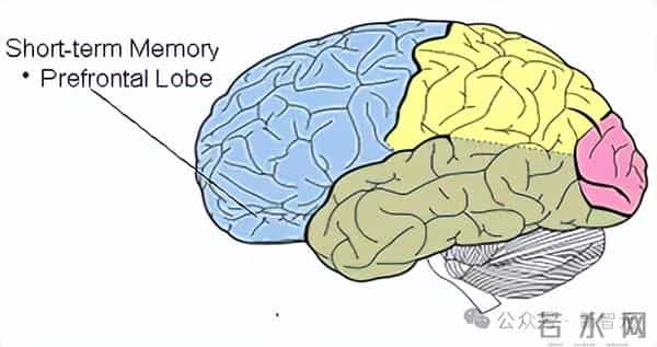 谷歌祭出Transformer杀手，8年首次大突破！掌门人划出AGI死线
