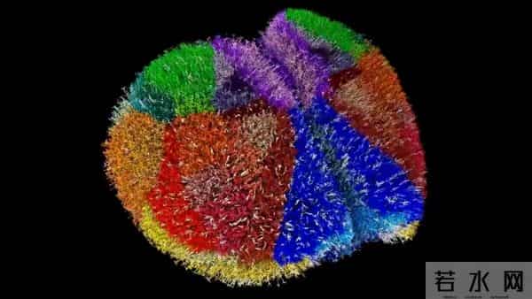 美日科学家用超级计算机创造出迄今为止最逼真的“人类大脑 ”