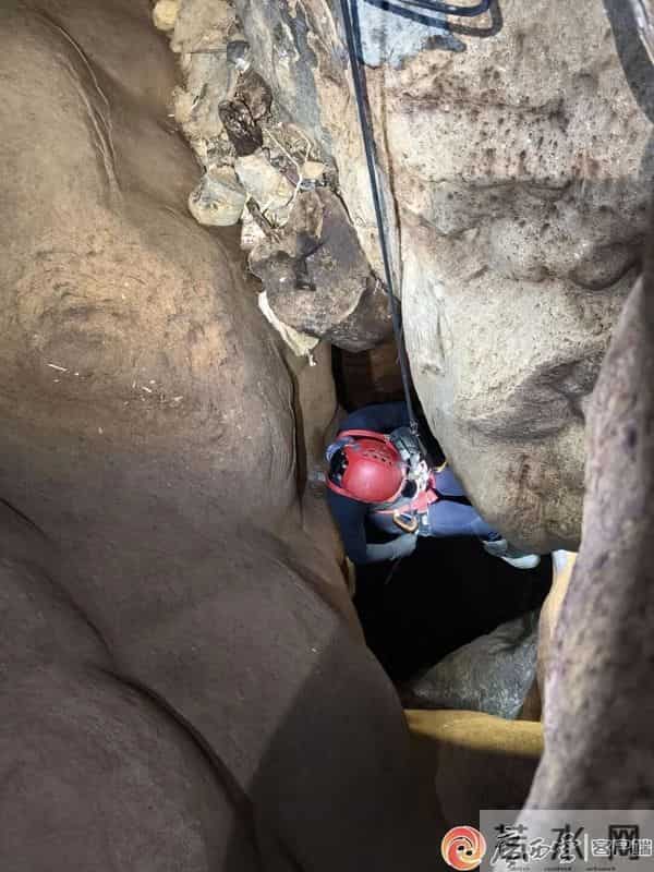 柳州这地有新发现！神奇生物出没，“一直往人身上凑”