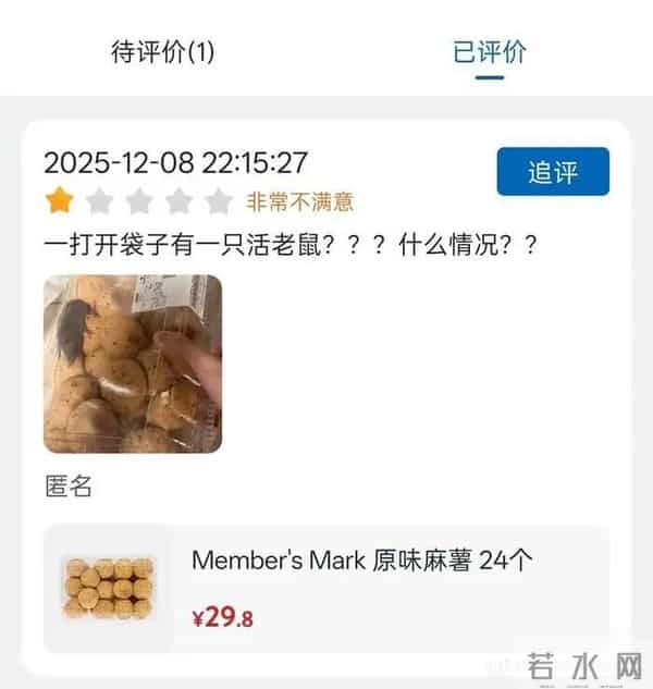 山姆麻薯盒内出现活鼠，当事人：打开那一刻，人都吓蒙了