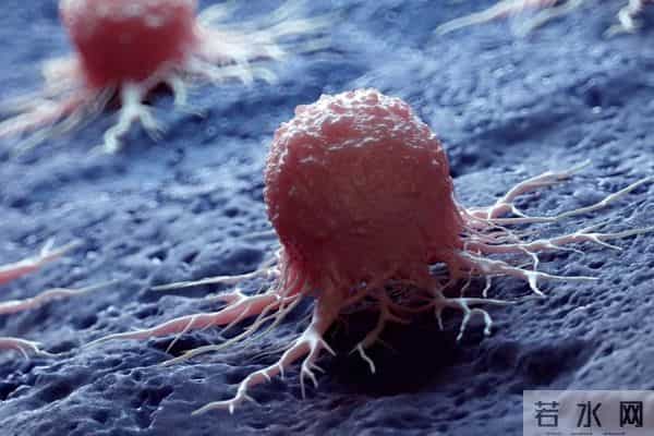 科学家发现金属纳米点能消灭癌细胞，也能最大程度保护健康组织