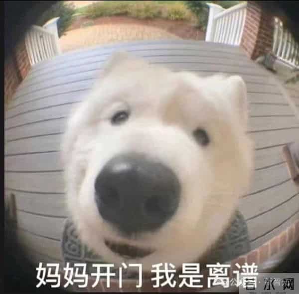 斯坦福人均≈0.1张GPU!学术界算力遭「屠杀」,LeCun急了