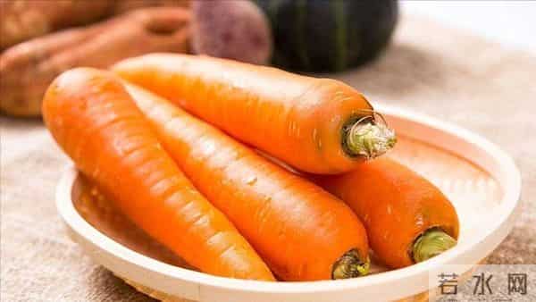 胡萝卜立功了?欧洲科学家从中发现宝藏,补充或可“拨慢”衰老