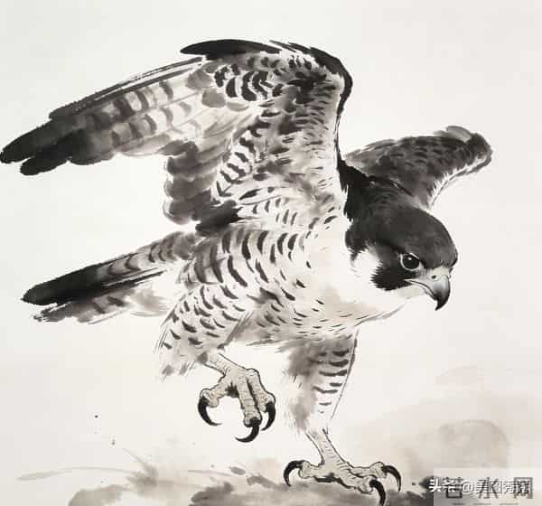 水墨画 游隼