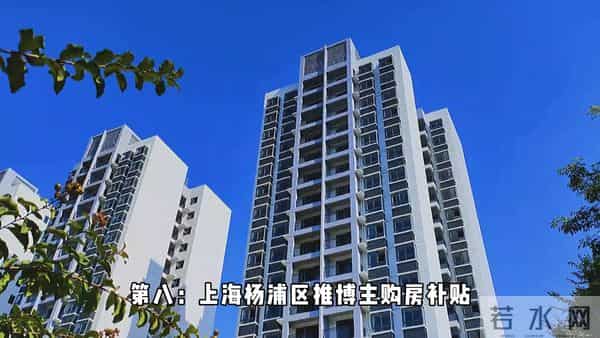 新闻快讯！12 月 10 日晚上 21 点前发生的最新新闻！