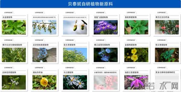 贝泰妮集团亮相腾冲科学家论坛 分享自主研发及产业化成果