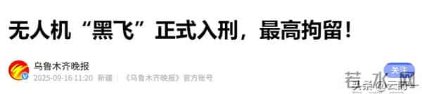 演员李子雄乘机后吐槽“黑飞”，无人机飞到8000米，毛孔都炸开了