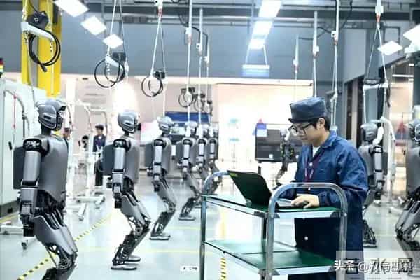 从日租2万暴跌3000元，人形机器人要凉了，大佬一句话戳破真相
