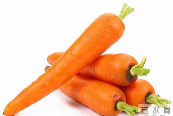 胡萝卜立功了?欧洲科学家从中发现宝藏,补充或可“拨慢”衰老