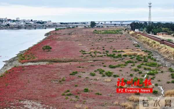 太美了!福州这里“红”了!