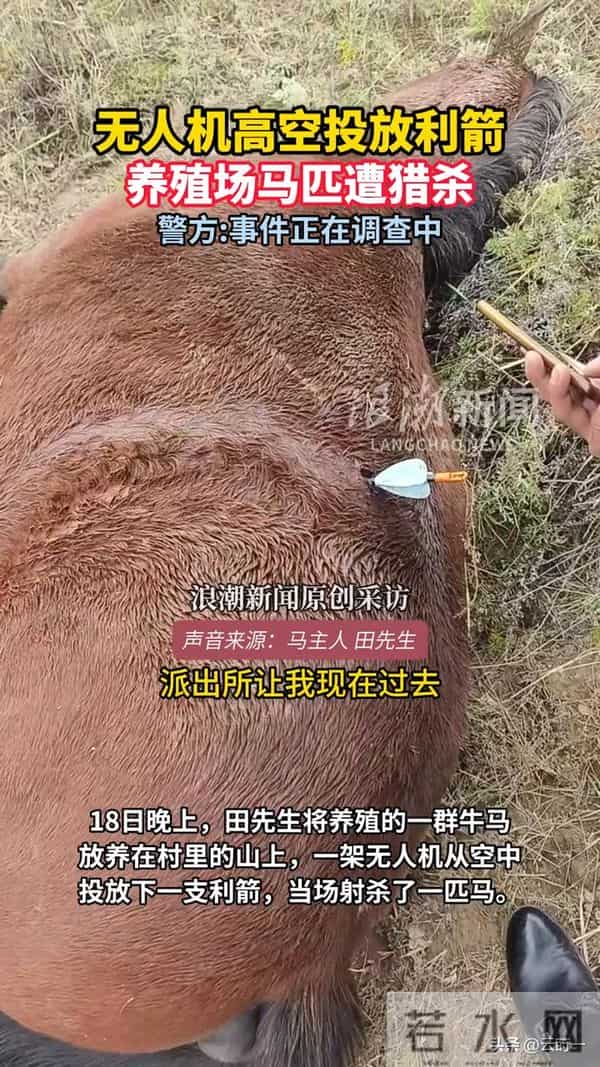 演员李子雄乘机后吐槽“黑飞”，无人机飞到8000米，毛孔都炸开了