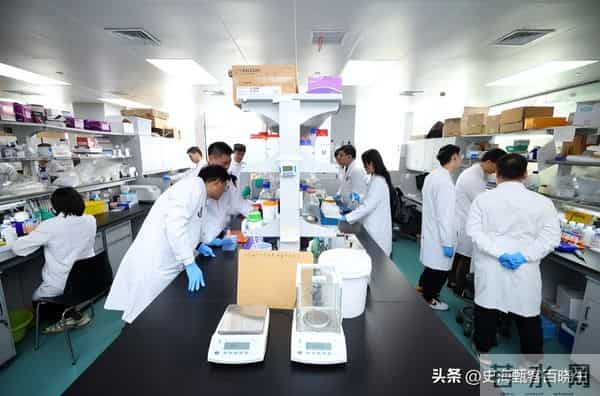 75岁芯片大佬潜逃美国！带核心技术机密，中国半导体暗战再添变数