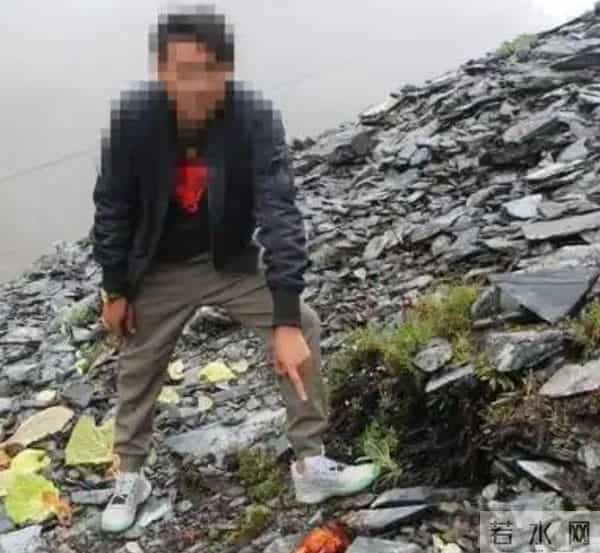 一生只开一次花，最长45年结果，2019年，云南男子手撕了一株被抓