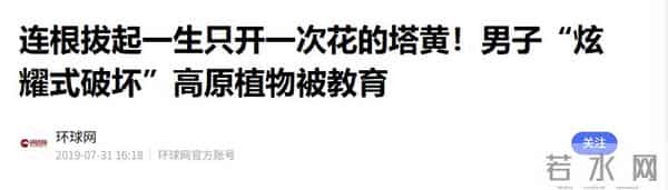 一生只开一次花，最长45年结果，2019年，云南男子手撕了一株被抓