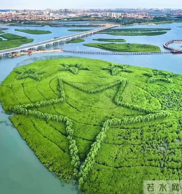 突发疾病！厦门大学卢昌义教授去世，享年79岁