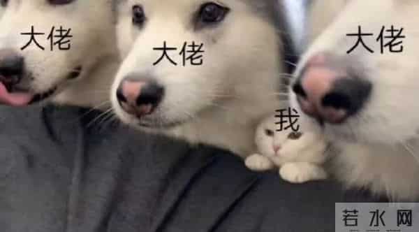 在小红书排队被拷问,科技圈搞起了一种很新的团建