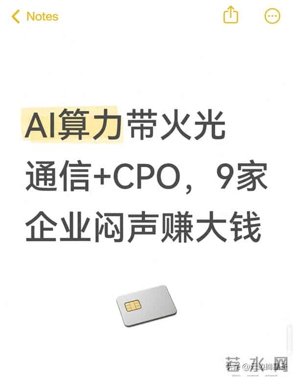 AI算力带火光通信+CPO，9家企业闷声赚大钱