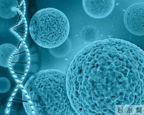 胡萝卜立功了？欧洲科学家从中发现宝藏，补充或可“拨慢”衰老