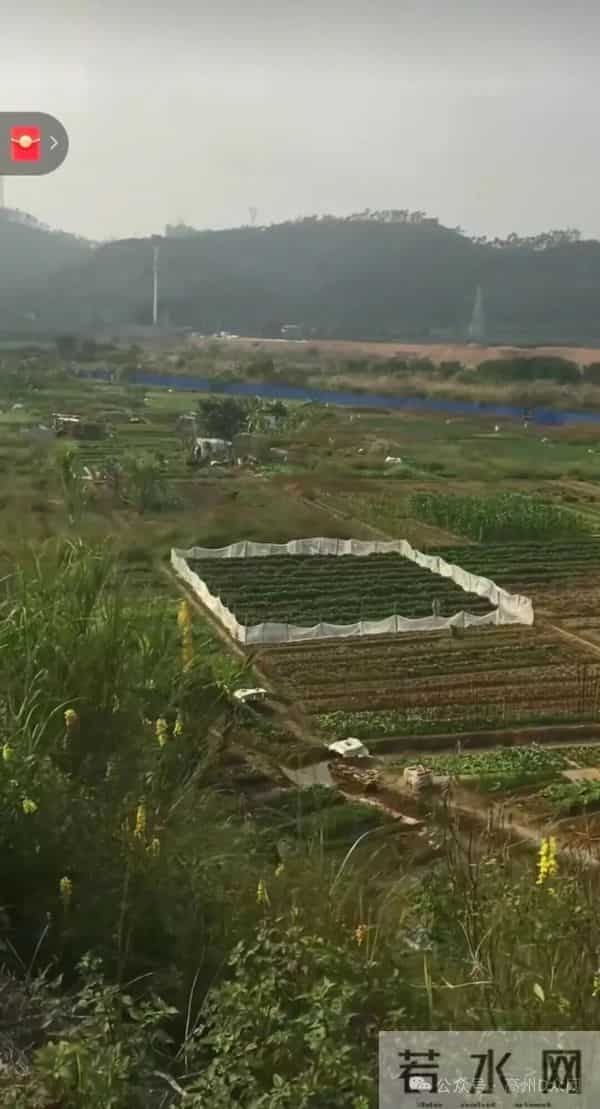 稀奇！高州城区竟然有个地名叫“睇错码”，有谁知道这名字的由来