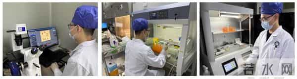 每分钟可制备100个!3D生物打印“迷你肝脏”助力肝病研究突破