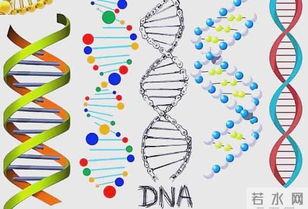 推动人类发展的十个顶级诺贝尔奖 1.青霉素 2.DNA双螺旋