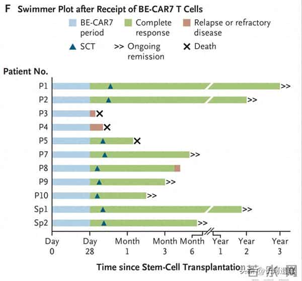 科学家用一种全新的“超级T细胞”治愈了严重白血病