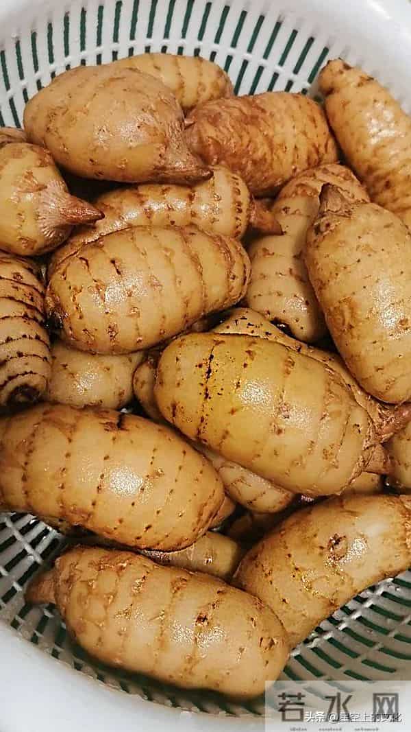 教您识别二十五种野生中草特征，您的家乡有吗？您认识几种呢？