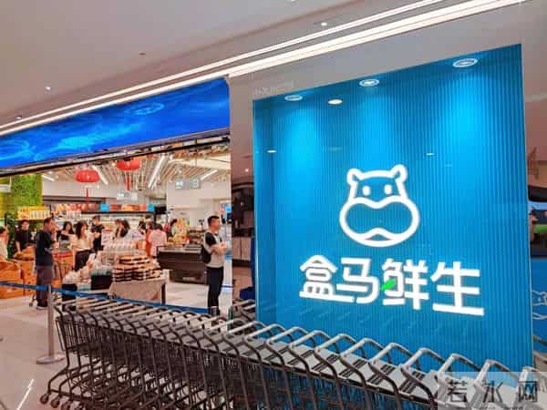 东方甄选杀入线下零售！直播带货神话崩塌，俞敏洪押注百店破危局