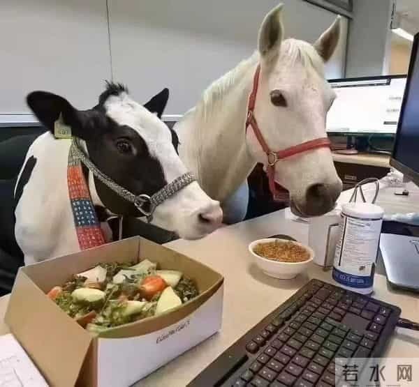 GPT-5.2来了,首个“专家级”AI复仇成功,牛马打工人终于得救了