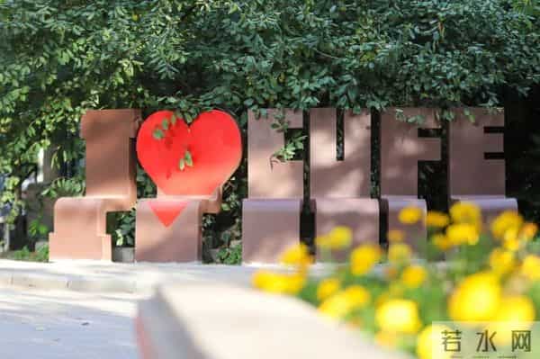 首例!国自科基金委公布:中财大获批“重磅”项目!