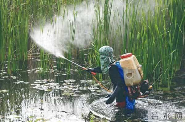 孟山都内部邮件曝光！期刊撤回25年前高被引论文