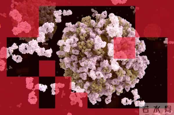 生物制药的ChatGPT时刻：AI全自动设计抗体即将叩响临床试验大门