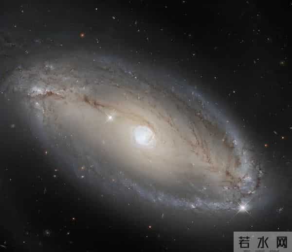 被美国给骗了？航天员出舱巡检神舟二十号飞船：画面还原太空原貌