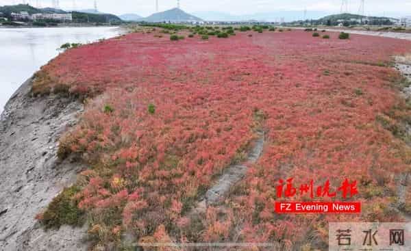 太美了!福州这里“红”了!