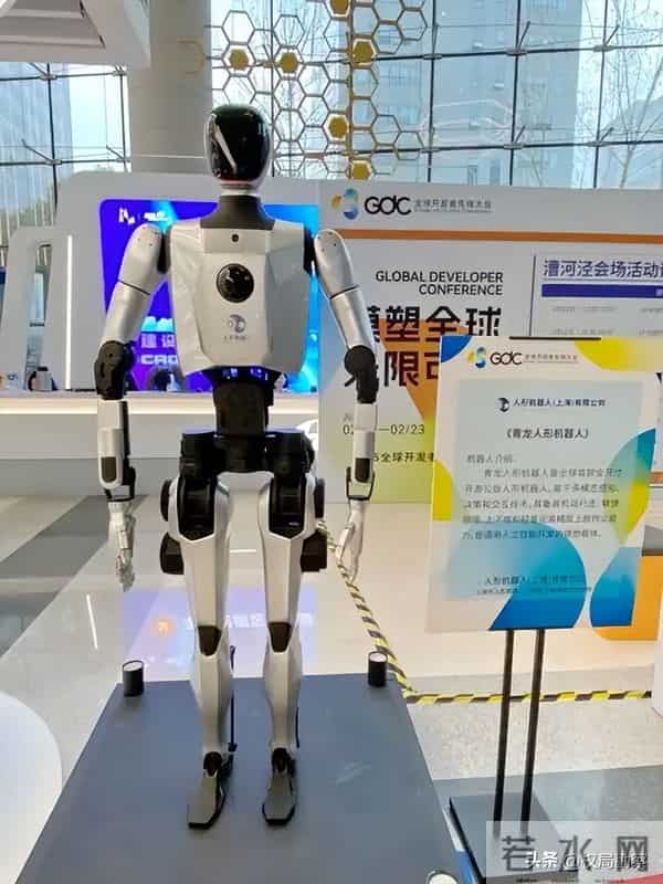 从日租2万暴跌3000元，人形机器人要凉了，大佬一句话戳破真相