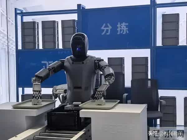 从日租2万暴跌3000元，人形机器人要凉了，大佬一句话戳破真相