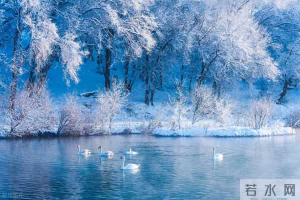 《美国国家科学院院刊》:美貌与大脑能量有令人惊讶的生物学联系