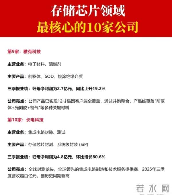 存储芯片领域:最核心十家公司