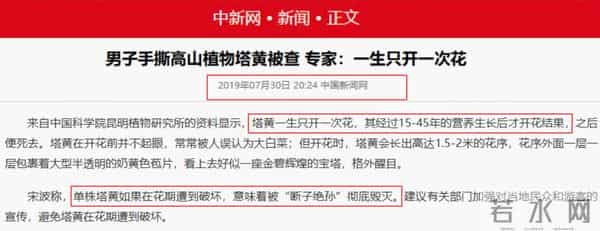 一生只开一次花，最长45年结果，2019年，云南男子手撕了一株被抓