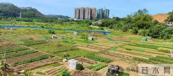稀奇！高州城区竟然有个地名叫“睇错码”，有谁知道这名字的由来